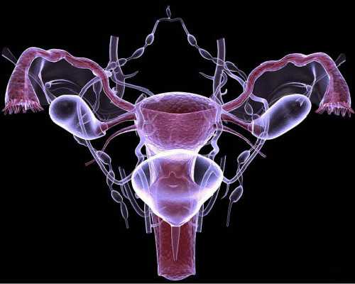 香港验血孕囊数据_怀孕怎么才能看出男女_让亲历者用事实来讲述真相!