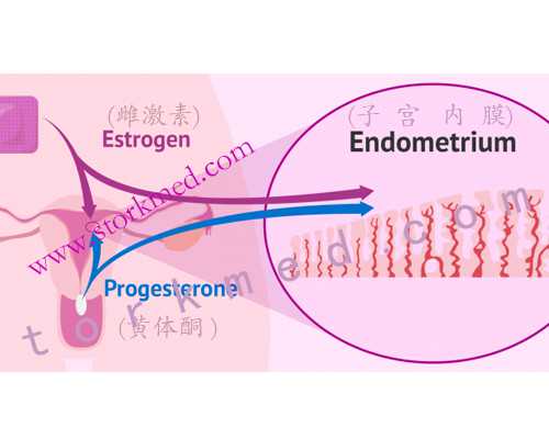 香港验血时间什么时候开始算起_香港精准化验所准不准_哪家诊所准确率最高