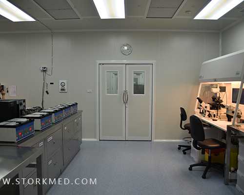 香港验血准mkm机构地址_3次b超女香港验血男孩_验血查男女测性别怎么选择