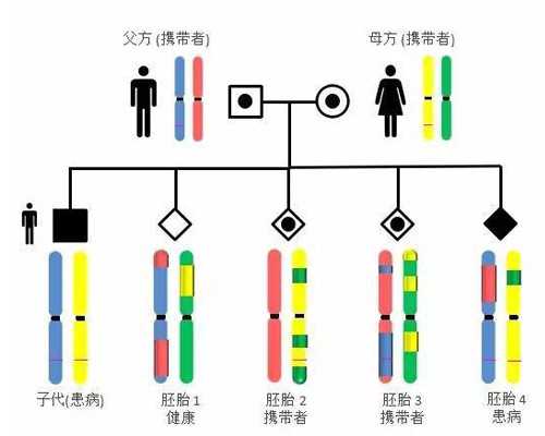 香港验血结果还没出好紧张_6周到香港验血准吗_DNA鉴定需要哪些条件!