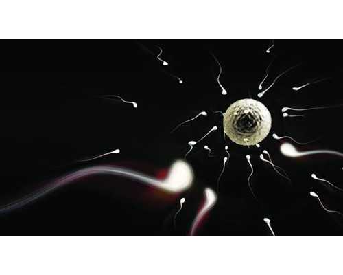 八个月又怀孕了香港验血影响吗_生化妊娠影响香港验血,查男女那些你所不知道