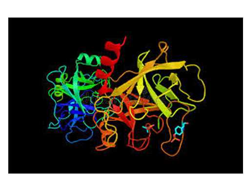 气动往复泵_爱情里，越放低姿态越得不到视的星座
