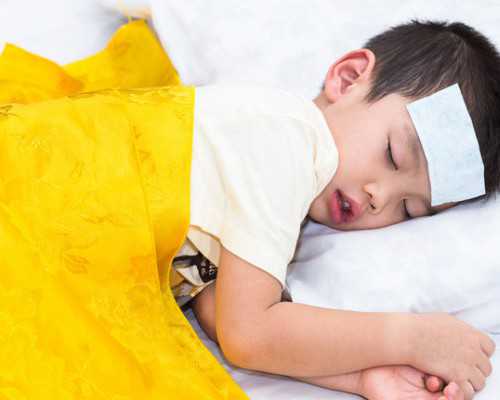 车载泵车价格多少钱一辆_板栗猪蹄肉冻