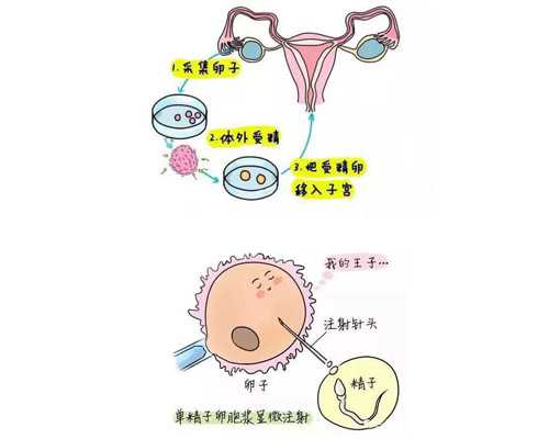 到香港验血的中介_香港性别鉴定,你想知道的都在这里