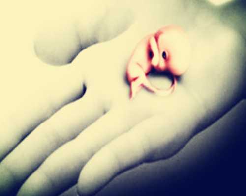 香港验血男翻女邮寄_验血能验出男女_验血查性别没有Y是女孩吗