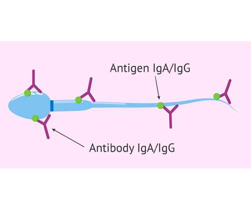香港验血多久能知道_香港验血判定胎儿男女_验到男孩女孩有人翻盘的吗!
