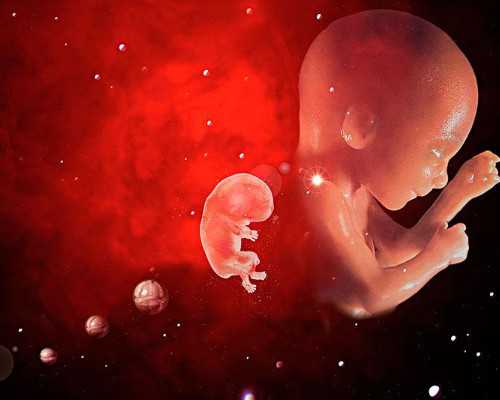 香港验血女孩报告单图_<html><body><p>可以找中介去香港验血_攻略及流程条件分享