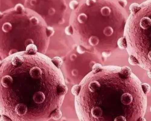 泵怎么读音是什么_哪几家文交所杀鸡儆猴 哪几家能精彩地活？