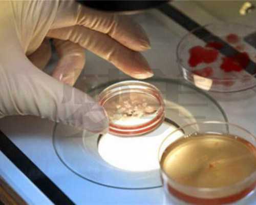 刚做了人流香港验血鉴定男女_把血寄到香港查性别违法吗？本人亲身经历告诉