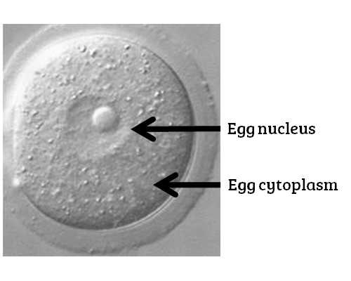 香港验血当天有结果吗_香港6周验血是真的吗?真实经历分享出来给大家