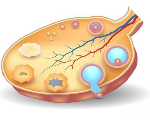 香港验血胎儿多长时间_验血还是要自己去香港吗_亲身经历告诉你!