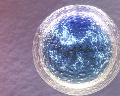 香港验血周六周日可以预约不_香港胎儿性别鉴定出错几率,验血参考具体指标