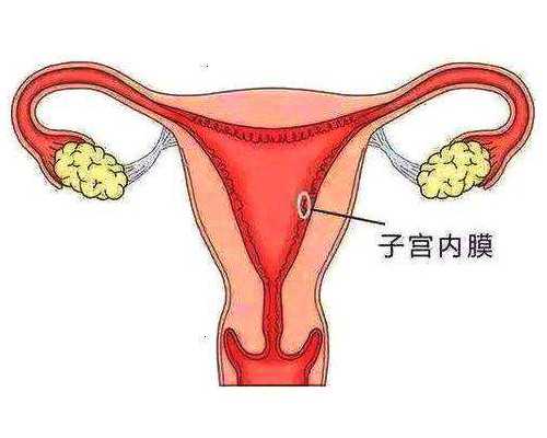 香港那些验血诊所权威_怀孕多久可以香港验血鉴定男女_验血翻盘女翻男吗!