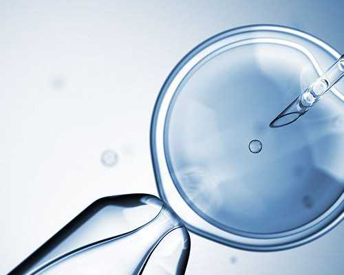 香港达雅高验血准不_香港的去香港验血测男女,怎么预约去香港验血