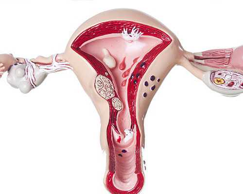 香港验血重验有没有结果不一样的_香港验血前什么东西不能吃_验血查男女抽血