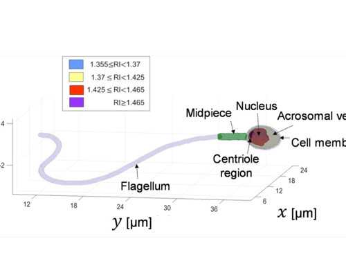 生化没多久怀孕会影响香港验血吗_寄血样去香港验血准吗，点开文章读一读对