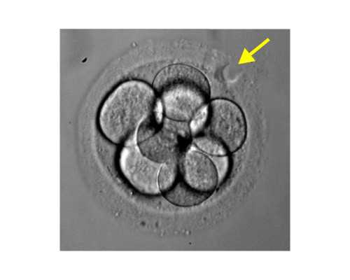 香港邮寄验血设备是什么_香港验血电话,亲身经历告诉你真相