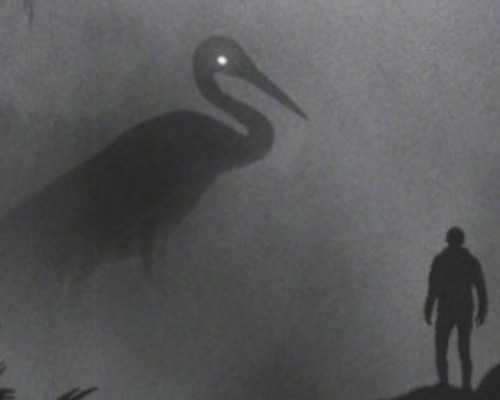 香港6周验血2026_香港怀孕验血区别_验血详细流程,看完你还做吗