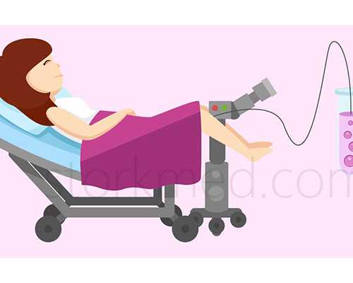 泵的拼音怎么写的拼_常玉最大尺幅蓝枝粉菊现身佳士得香港春拍