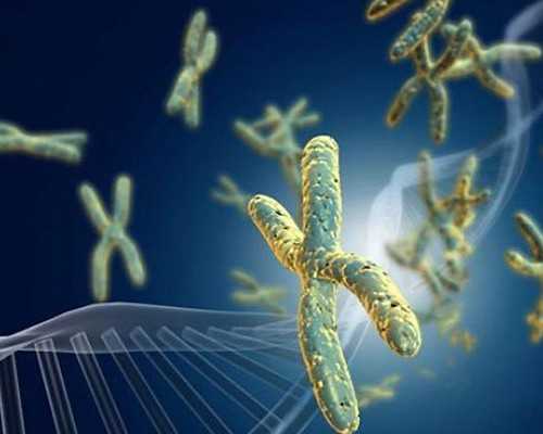 离心泵主要性能参数_美容养颜的冰糖雪梨银耳汤