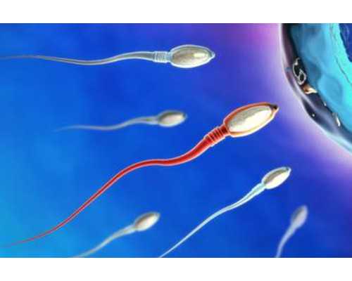 暖气循环泵怎么安装才正确_厉害了!中国二十四节气申遗成功