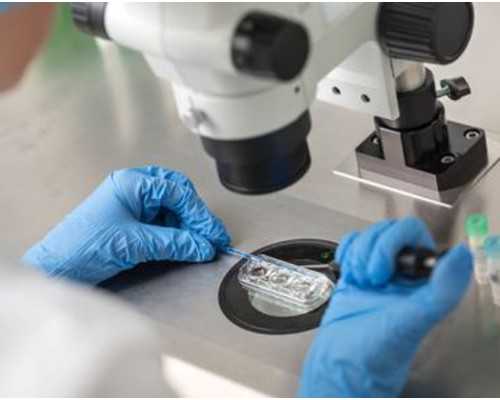 香港验血十周会太晚吗_香港验血检测男女正规机构准不准_自己到香港验血的真