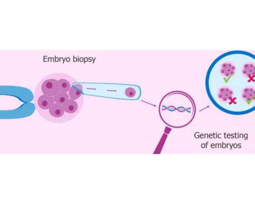 分享怀孕6周香港验血经历给宝妈_2026香港验血女孩不一定准？香港DNA检测科普