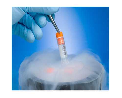 香港验血推荐医院_不止一次，我努力尝试作文不止一次，我努力尝试作文