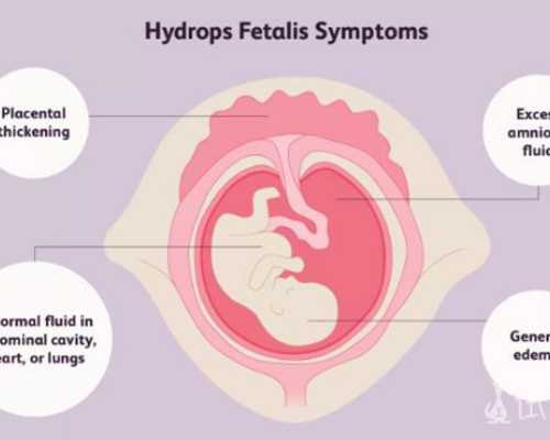 流产半年怀孕能香港验血_怀孕几天可以香港验血男女_验血查男女哪家机构靠谱