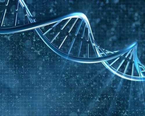 不通过中介 去香港验血_哪里有查验性别正规资质