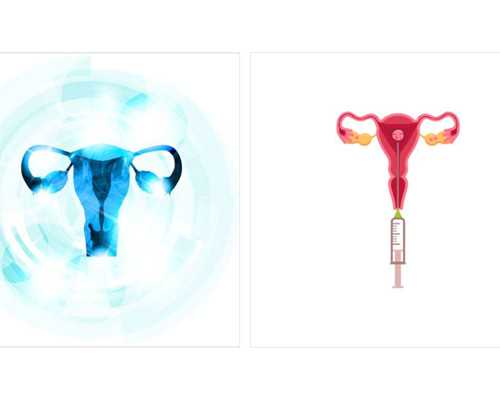 香港验血男女多久可以出结果_香港dna预约_查男女你所不知道的事