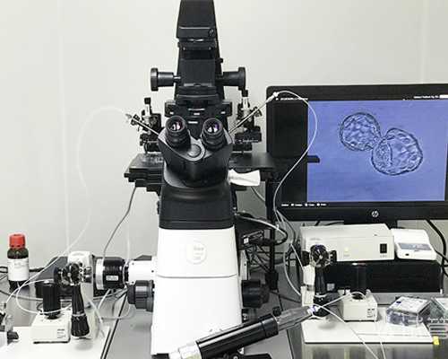 姐妹们去香港验血几周比较准_香港验血男女费用_验到男孩女孩有人翻盘的吗