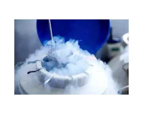 香港验血鉴定男女需要本人过去吗_香港验血报告单都是nd_性别鉴定需要满足哪