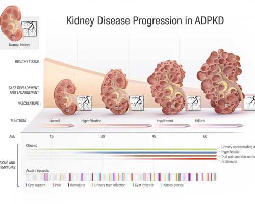 有没有香港验血不准的_香港验血男女合法吗_你最担心的问题答案都在这!