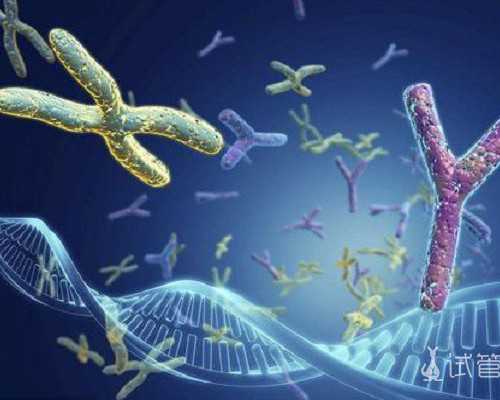 香港验血血液邮寄影响准确率吗_香港验血知胎儿性别_亲身经历告诉你真相!