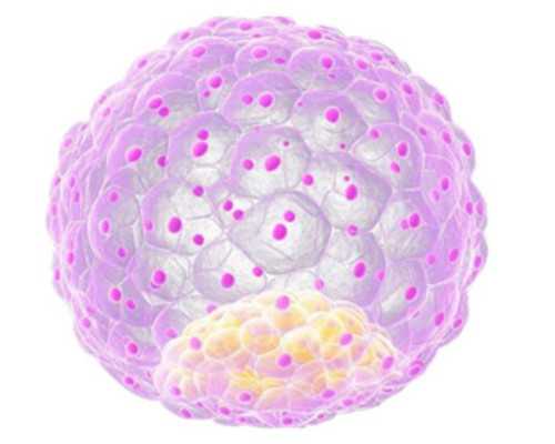 香港验血快递3天行么_怀孕五周哪里可以查男女_验血的原理帮助大家解读