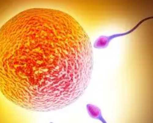 香港四大验血机构 时代,去香港抽血验男女多少钱_鉴定哪家准确率最好!