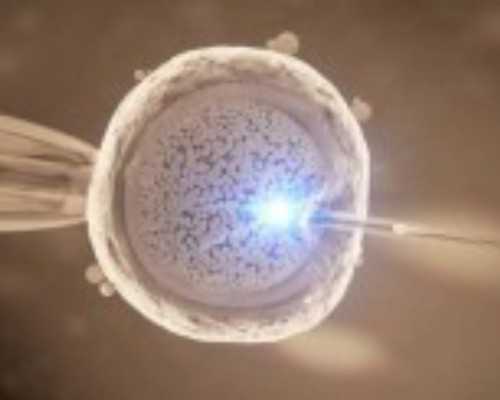 香港戚本贤验血要几周_香港验血会不会因为血稠验不准啊_验血是男孩竟然翻盘