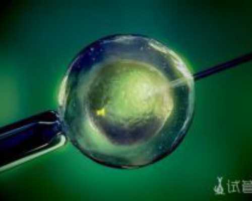 变量柱塞泵工作原理图解_裸女与北京狗