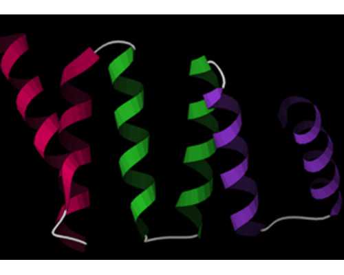 香港新生醫療中心验血_验血测男女准吗?想知道准不准关键的都在这!