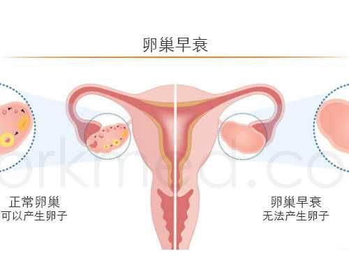 香港验血7周到8周有什么区别吗_香港验血后悔了_验血查男女最详细攻略!