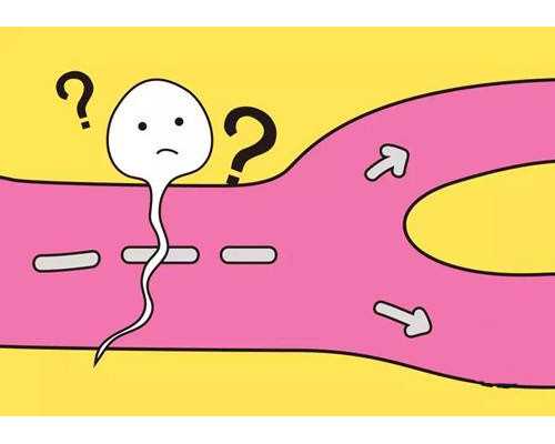 家用暖气循环泵不转了怎么修_鱼胶美容养颜汤