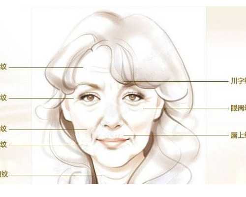 化工泵哪家好_消费时代到来将倒逼艺术家提高艺术水准