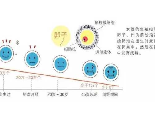 离心泵的主要性能参数有哪些 如何测定_王羲之《上虞帖》：垃圾堆里捡回的国