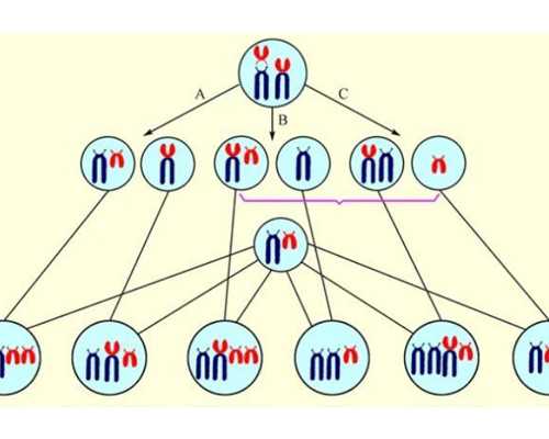 污水泵生产厂家_甲骨文成功入选《世界记忆名录》 走近最古老的成熟文字