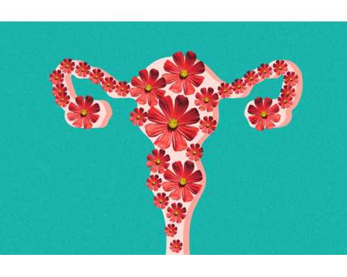 香港验血寄过来的血管_香港抽血查测胎儿男女是查什么?让亲历者用事实来讲述