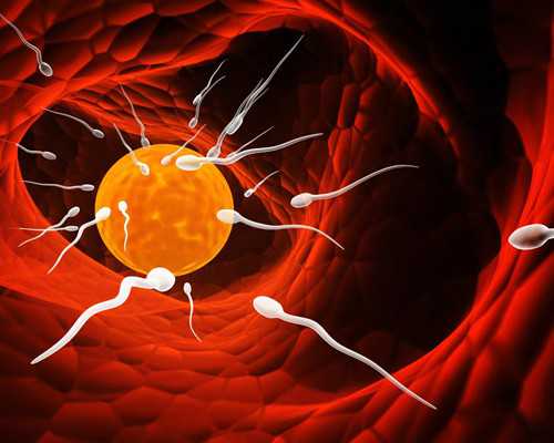 空气能热源泵品牌排行_书香文化做伴 乐享暑期时光 