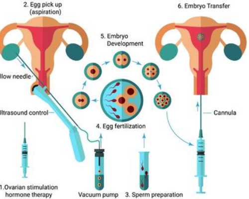 香港化验血测男女有错吗_网友炸了!6个月宝宝验血，我在香港验血实在阅历共享