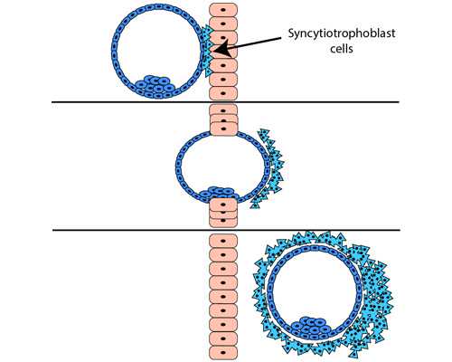 泵站自动化控制系统设计_无氧运动让你更男人