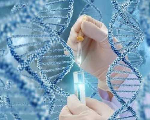 香港验血性别多久出结果_倡议书怎么写？？？？？？？？、？？？？、、？？